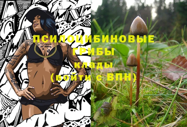 соль курить ск Абинск